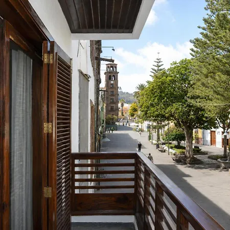 Araucaria3 *