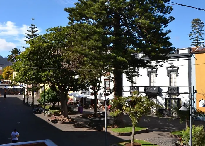 Araucaria3 La Laguna (Tenerife)